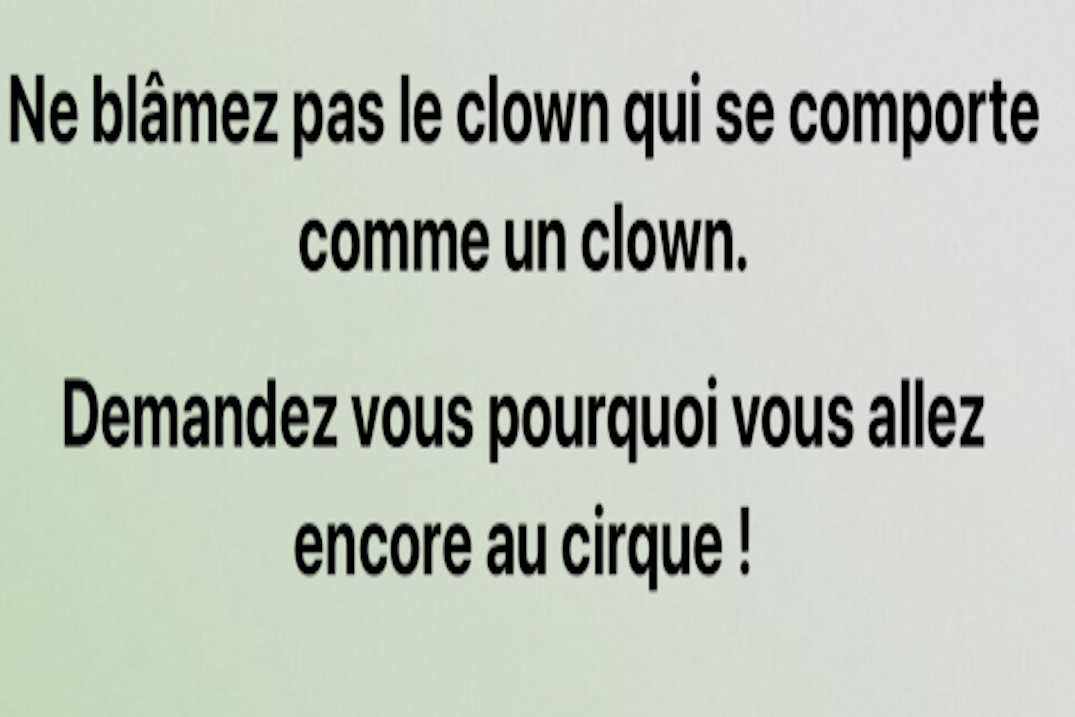 Macaronland, le cirque à gogos