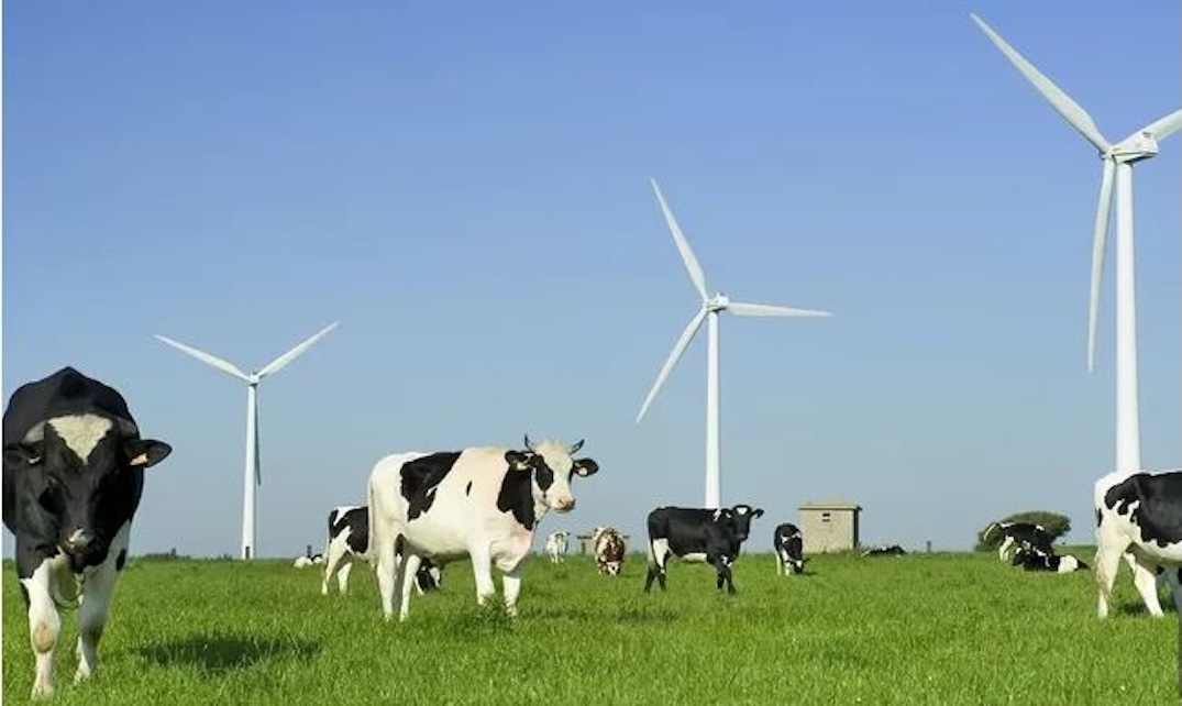 Les éoliennes…
